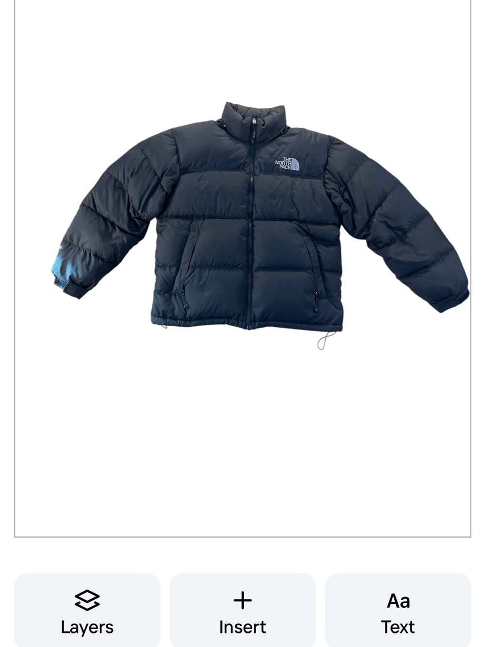 The North Face Nuptse Retro 1996 Black Hooded Puffer Jacket - Picture 3 of 5